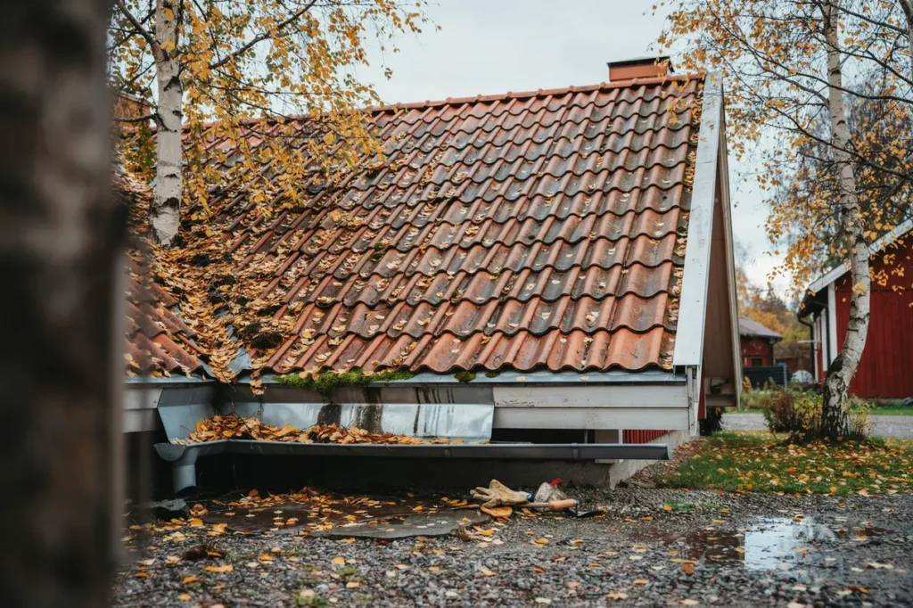 oktober p taket s f rbereder du huset f r l vf llning frostn tter och en bl t h st